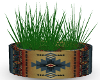 native pot w grass
