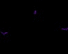purple doves