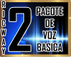 $ VOZ HOMEM 2