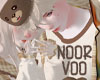 NOOR&VOO