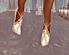 Elegant Champagne Heel
