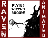 BLK & WHT WITCH'S BROOM!