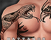 Snake + Eagle Tattoo