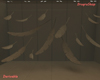 Minimalist Photoroom NI