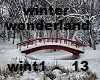 winter wonderland