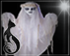 Flying Picture Ghost