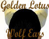 Lotus Golden Wolf Ears
