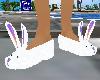 NS Cute Bunny Slippers