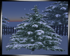! Background winter tree