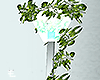 Ivy Lamp