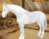 Horse White