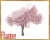 Magnolia yard tree