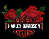 Harley Davidson-Ladies