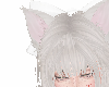 Pink/ Blonde Cat ears