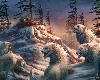 white wolves picture