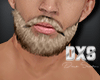 D.X.S beard