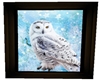 Framed white owl 14