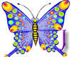 Cartoon Butterfly