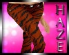 *Haze* Zebra Orange