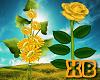 XB- YELLOW FLOWER ENH 1