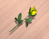 Tiny Yellow Rose