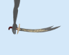 Sword Arabic
