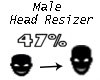 Scaler Head 47%