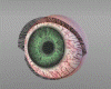Eye Animated