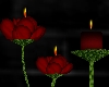 Rose Candles and stand
