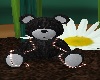Black Cuddle Bear