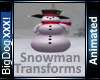 [BD]SnowmanTransforms
