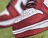 ✘ SB Dunk Low-Chicago