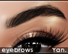 Y: HD brows | natural