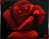 ♦ Red Rose v1