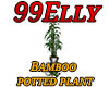 Bamboo potted plant
