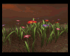 *Country 3D Flowers