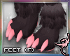 (IR)Xanadu: Feet F