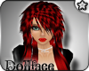 (DF)BLOOD RED CAPRICE