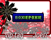 j| Boxiepoxie