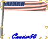 C50 American flag Animat