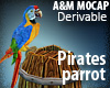Pirates parrot