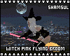 Witch Pink Flying Broom
