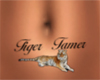 BBJ Tiger Tamer Belly