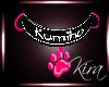 Custom collar: Kumiho