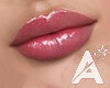 Clear Lips Gloss