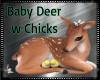 Baby Deer w Chicks