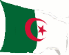 Algeria Flag M/F