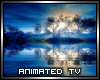Animated Sunset TV