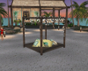 Palm Island Chat Deck
