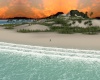 {LS} Large Beach Island